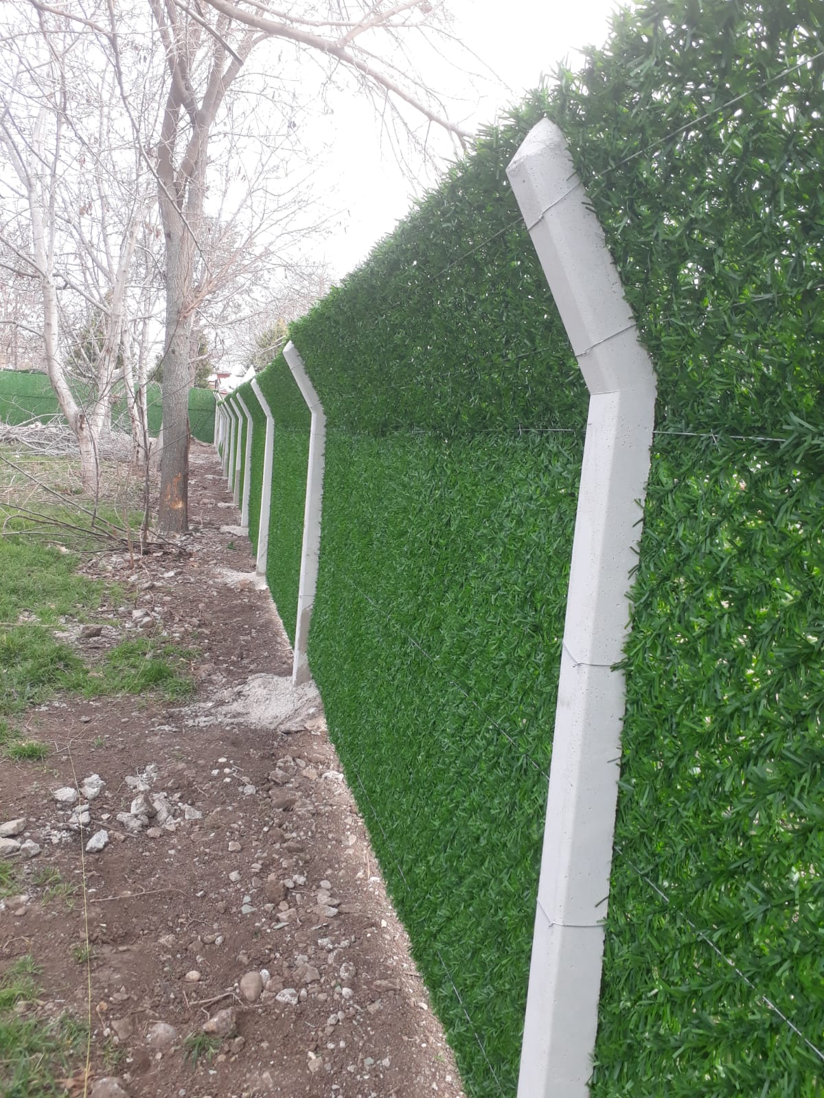 Berat Tel Çit